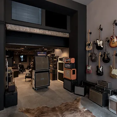 ALLIGATOR AMPLIFICATION