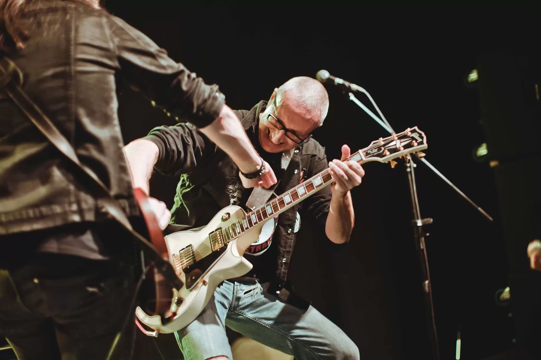 Dog Day’s - Invaders Amplification artist